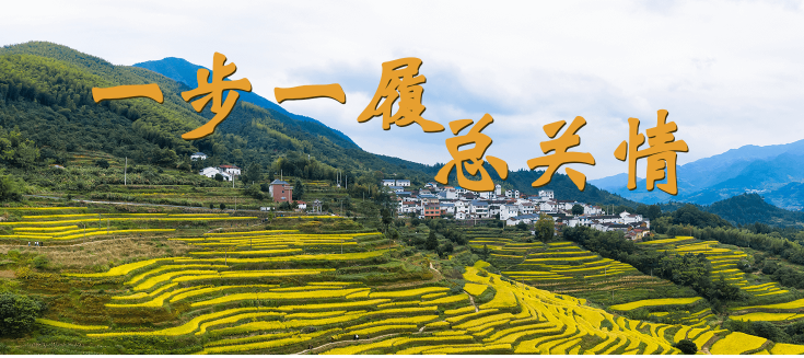 一步一履總關(guān)情